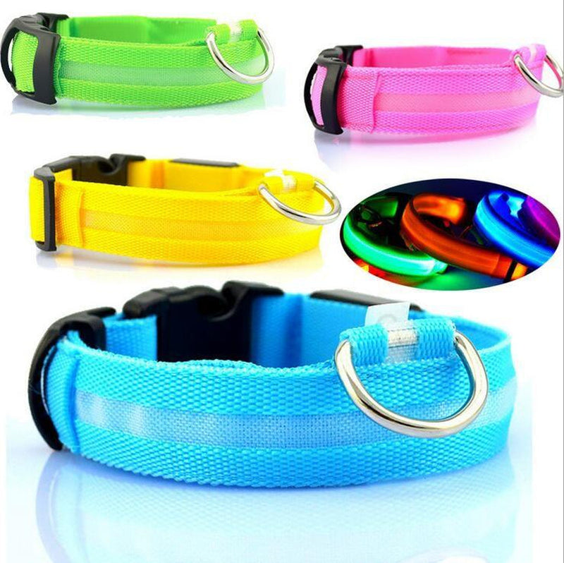 Safety Dog LED Collar